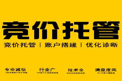 百度竞价托管运营的五大成功案例及策略